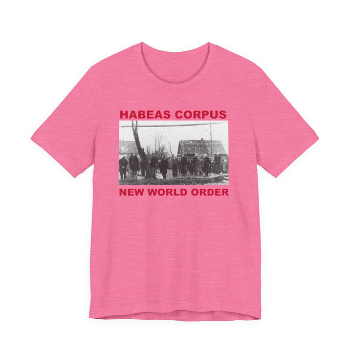 Habeas Corpus T