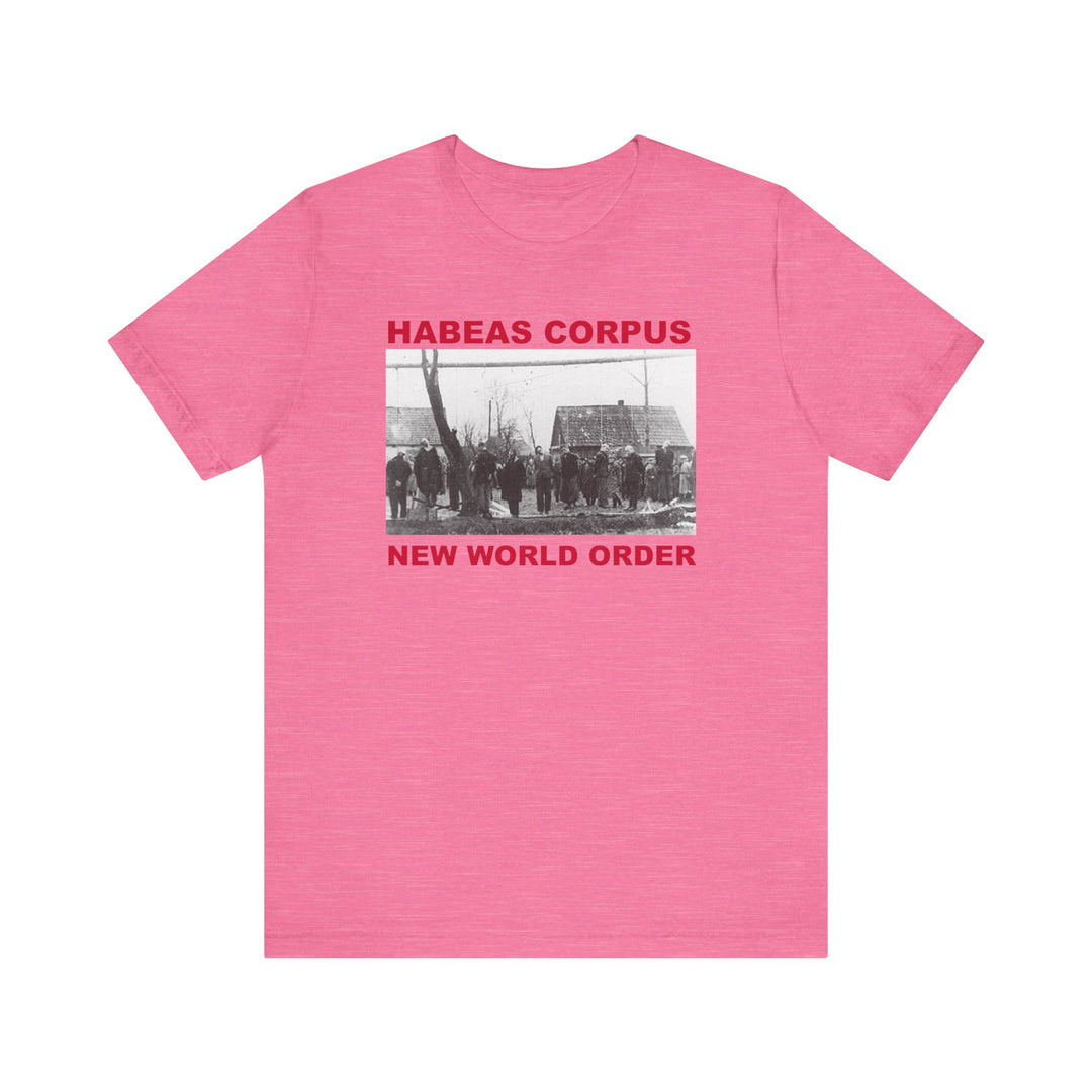 Habeas Corpus T